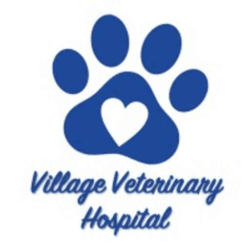Village Veterinary Hospital Llc